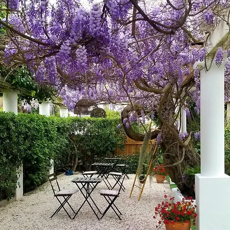 Chez Louis-2